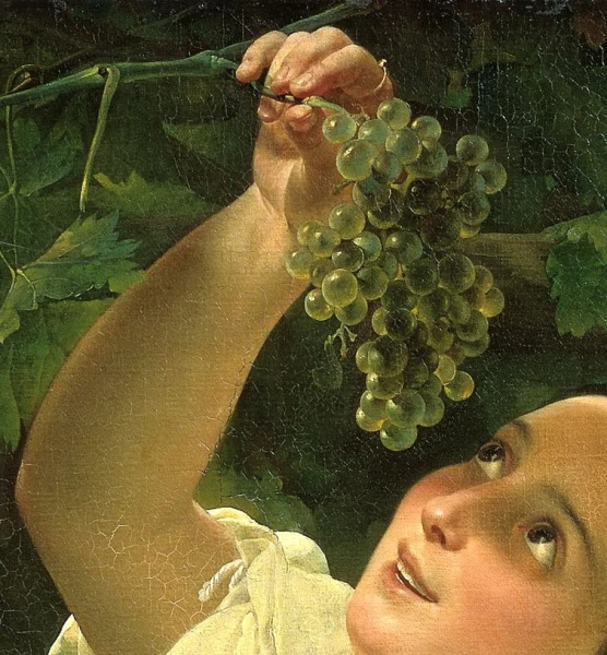 Изображение к статье: Где в ЕС выращивают больше всего овощей и фруктов?