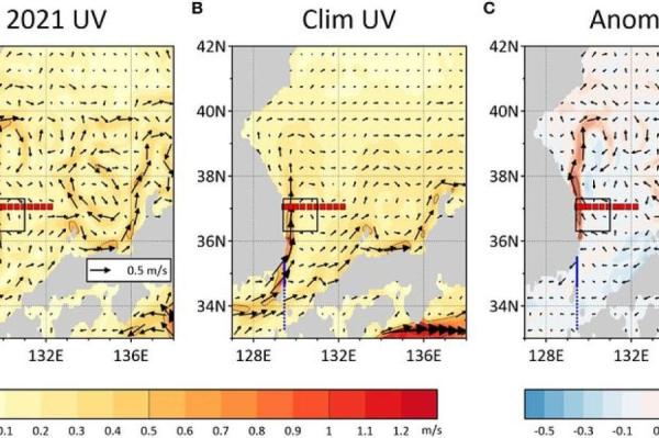 Изображение: Frontiers in Marine Science (2023) / phys.org