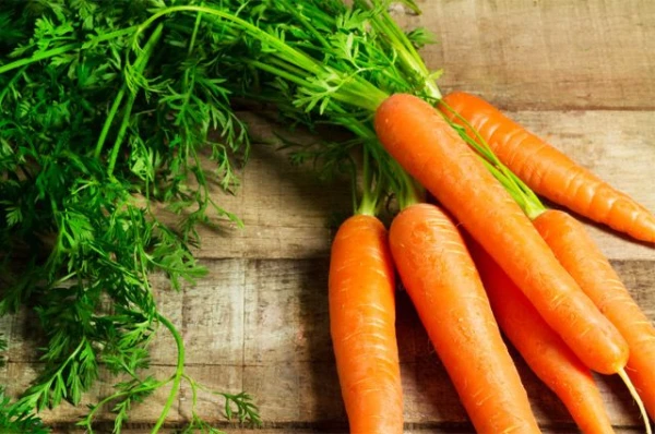 Изображение к статье: Что делать, если на листьях моркови появилась черная гниль?