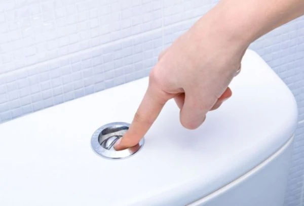 Изображение к статье: Какой унитаз выбрать: из керамики или фарфора?