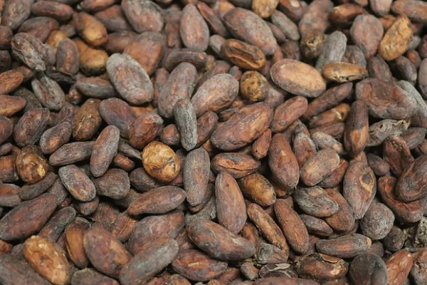 Изображение к статье: Выявлена удивительная польза какао