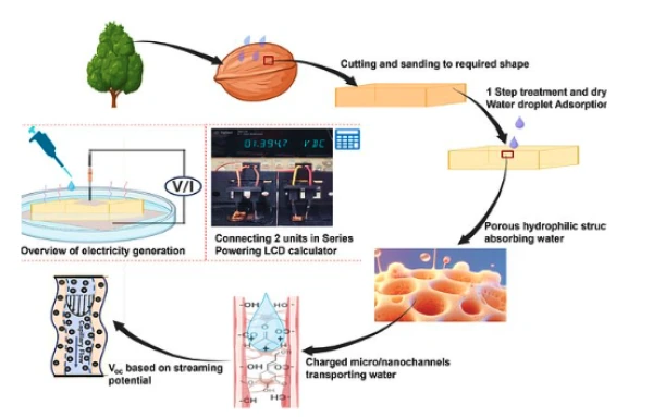 Изображение к статье: Фото: onlinelibrary.wiley.com
