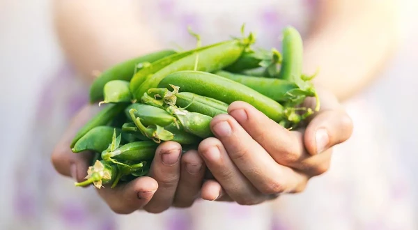Изображение к статье: Не выбрасывайте пустые гороховые стручки — из них получается отменное ризотто