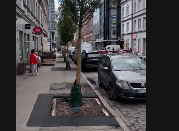 Изображение к статье: скриншот TikTok