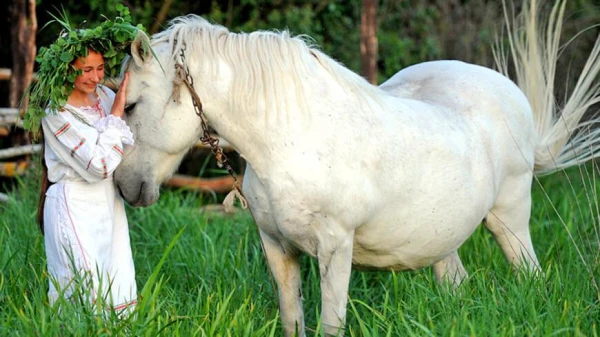 Изображение к статье: Как лошади эволюционировали из «пищевого» скота в терапевта, помощника и друга? История непростых взаимоотношений