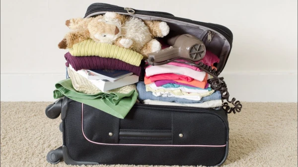 Изображение к статье: «Кровососы-путешественники»: как не привезти из отпуска незваных гостей