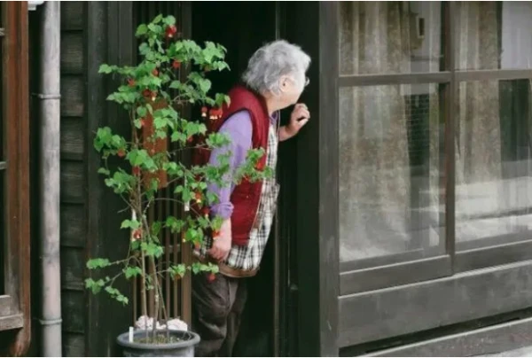 Изображение к статье: Юноша завел роман с 83-летней бабушкой одноклассницы