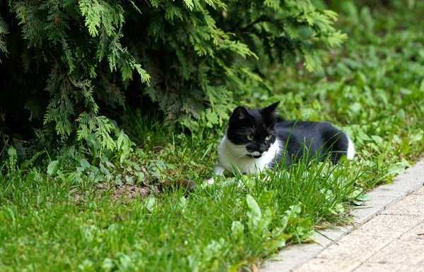 Изображение к статье: С юго-запада приближается атмосферный фронт