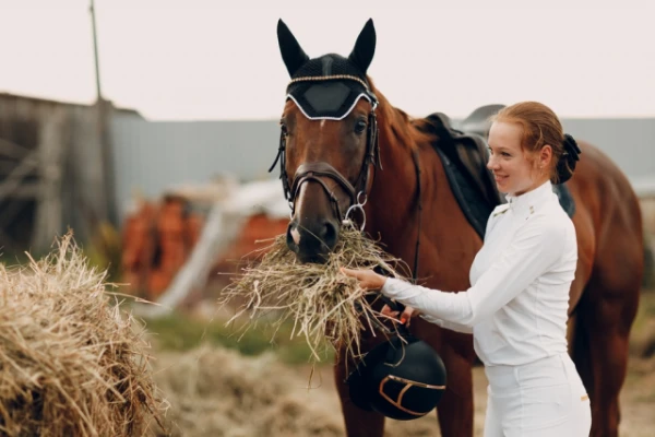 Изображение к статье: Генетика приручения: как человек сделал лошадей покладистыми и выносливыми