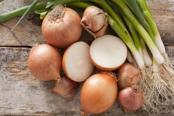 Изображение к статье: Что повышает лежкость лука?