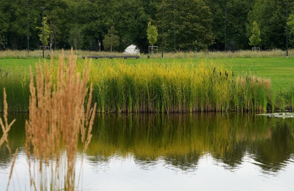 Изображение к статье: Температура воды в местах для купания местами достигает 19 градусов