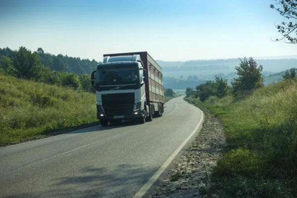 Изображение к статье: В первом полугодии грузоперевозки сухопутным транспортом уменьшились на 2,1%