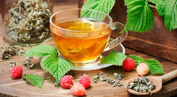 Изображение к статье: Ученые открыли неожиданную пользу чая из малиновых листьев
