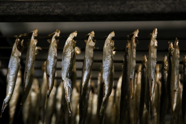 Изображение к статье: Рыба станет деликатесом для богатых уже к концу века: прогноз ученых