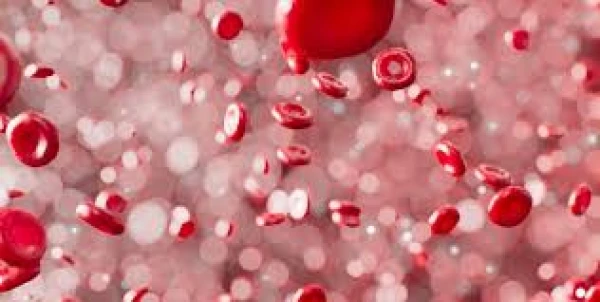 Изображение к статье: Выявлен скрытый вред кофеина для донорской крови