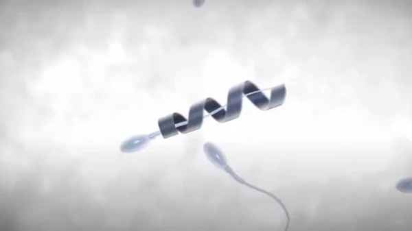 Изображение к статье: Спермботы смогут решать самые разные задачи.