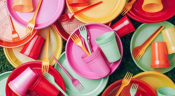 Изображение к статье: Насколько вредна одноразовая посуда?