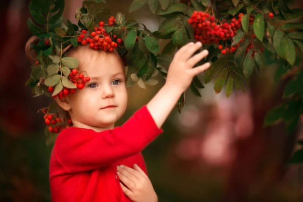 Изображение к статье: Народные приметы на 9 сентября — Пимен и Анфиса Рябинница