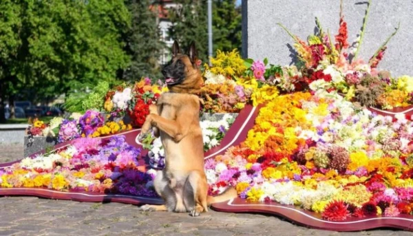 Изображение к статье: У Латгальской Мары президента Латвии приветствовал Джек