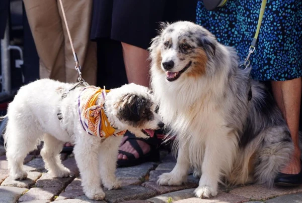 Изображение к статье: В среду теплый ветер нагреет Латвию до 26 градусов