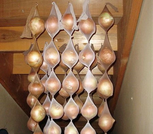 Изображение к статье: Лук в чулках, лаврушка в манке: храним продукты правильно