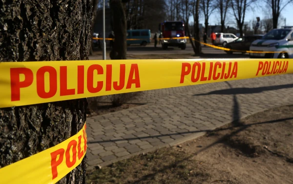 Изображение к статье: «Полиция не спасёт латышский язык, если латыши вымрут»: публицист об идее Ланги