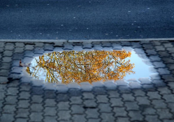 Изображение к статье: Синоптики рассказали, как изменится погода во второй половине недели