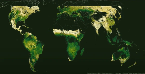 Изображение к статье: Чем светлей, тем горячей.
