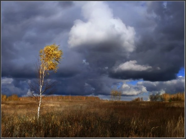 Изображение к статье: На Латвию идет осенняя стихия - синоптики