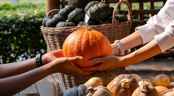 Изображение к статье: С этой специей тыква раскрывает вкус на 100% — это не чеснок и не паприка