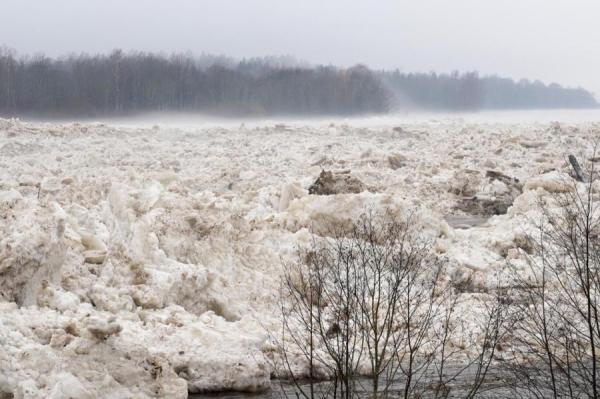 В Даугаве возле Зелькского моста уровень воды поднялся в целом на пять метров