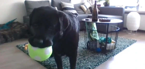 Изображение к статье: Всегда на связи,