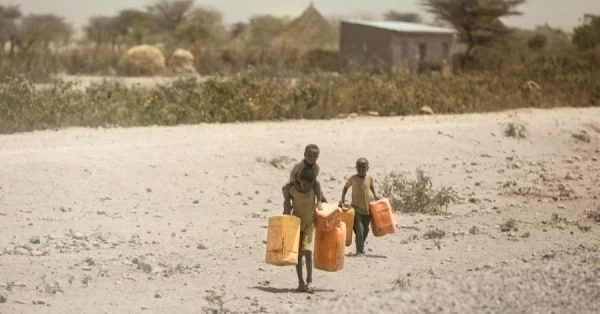 Изображение к статье: В Латвии растет число несовершеннолетних соискателей убежища