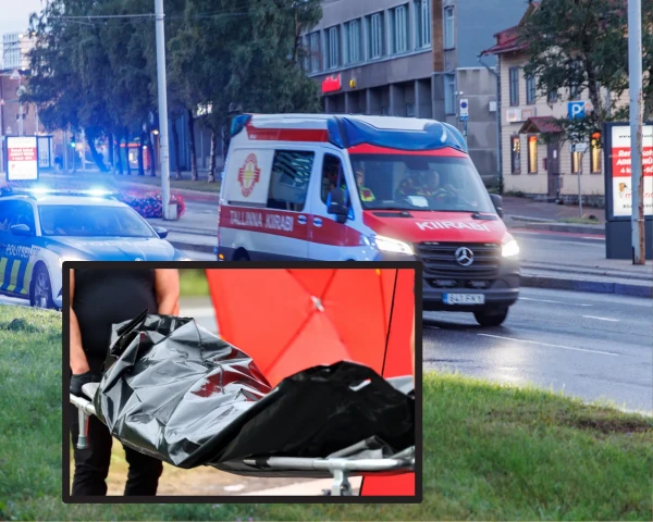 Изображение к статье: Департамент полиции и погранохраны Эстонии закупает мешки для трупов на крупную сумму