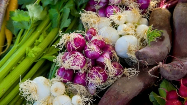 Изображение к статье: Врач назвала овощ, который снижает давление и холестерин