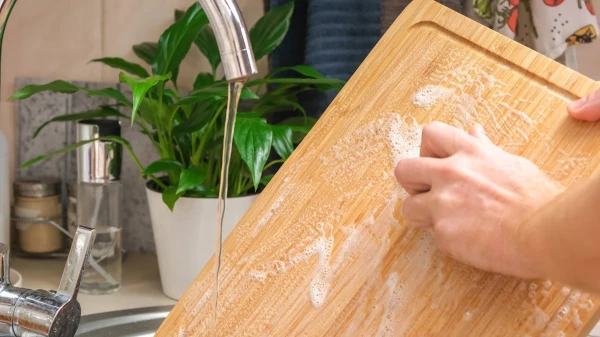 Изображение к статье: Полезно знать: бактерии предпочитают пластик, а не дерево