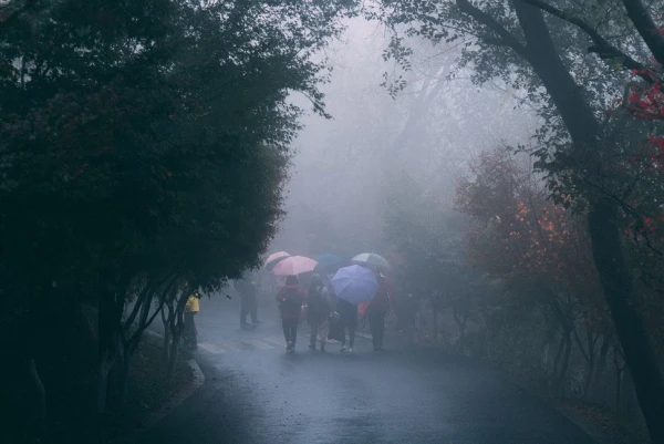 Изображение к статье: На Латвию снова идёт непогода - синоптики