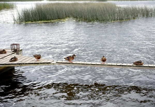Изображение к статье: В пятницу нас ждет солнце и порывистый ветер