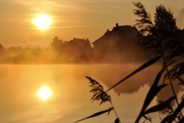 Изображение к статье: Невероятно, но в Латвию вернется лето. Сколько дней продержится?