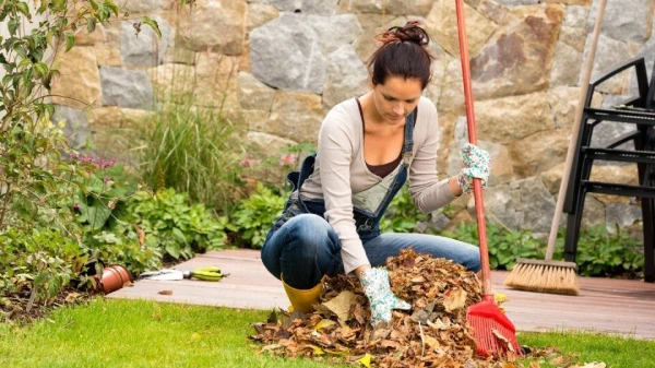 Изображение к статье: Дел еще по горло: работы в саду, которые нужно завершить до конца сентября