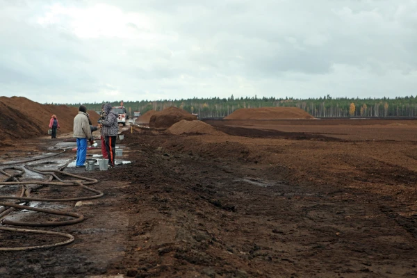 Изображение к статье: Дожди парализовали добычу торфа: убытки и риск массовых увольнений