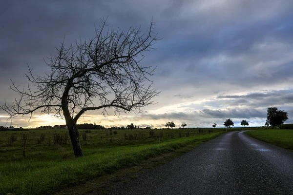 Изображение к статье: Психолог назвала способ предотвратить осеннюю депрессию