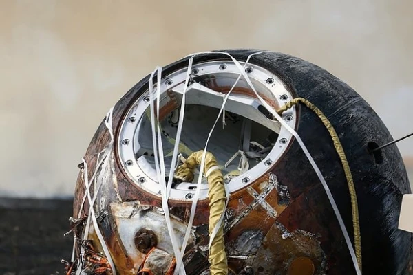 Изображение к статье: Раскрыта судьба полетевших в космос мышей