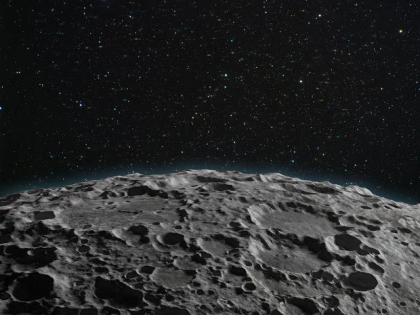 Изображение к статье: Чай может расти в лунном грунте, доказали ученые