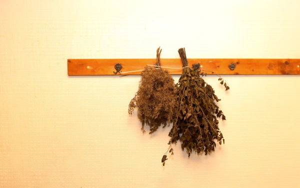 Изображение к статье: Нематериальное наследие Латвии: в список внесли шесть новых традиций. Там есть даже баня