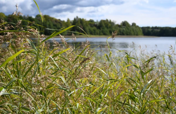 Изображение к статье: Ну вот и осень. Вторник погодой особо не порадует