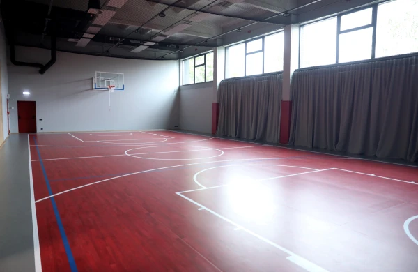 Изображение к статье: Отрасль бьёт тревогу: спортшколы заполняют случайные и немотивированные тренеры