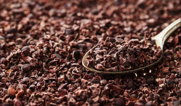 Изображение к статье: Почему стоит добавить какао-крупу в рацион: научно обоснованные причины