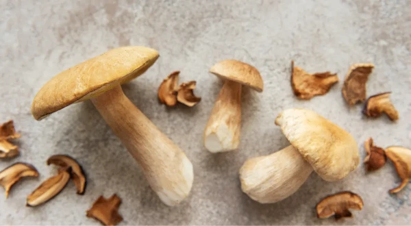 Изображение к статье: Эффектно, но вкусно ли? В Китае начали продавать кофе с грибами