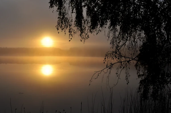 Изображение к статье: Температура воды местами ещё достигает 16 градусов
